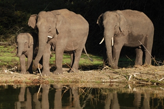 Bardia National Park extension