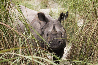 Chitwan National Park extension