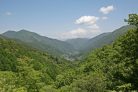 Gentle Trekking Nakasendo Trail