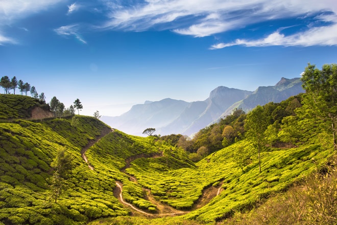 Gentle Walking & Wildlife Kerala