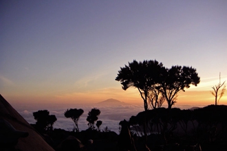 Kilimanjaro Summit, 5,895m/19,340ft - Lemosho Route