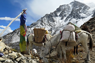 Kingdom of Mustang Trek