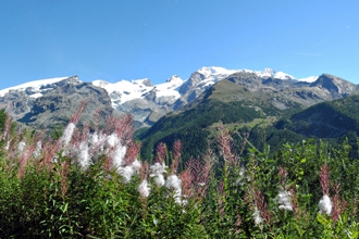 Monte Rosa Rando