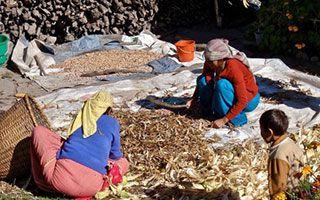 Nepalese Women Set to Climb Annapurna IV