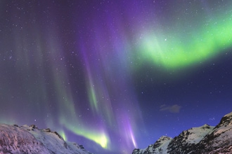 See the Northern Lights