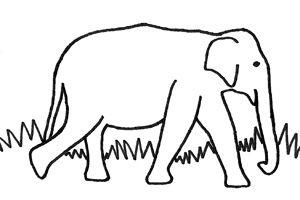 Colour in and name the elephant competition