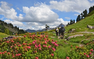 Walking and Trekking with Mountain Kingdoms