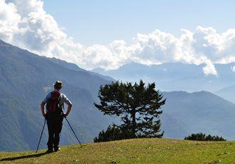 Trekking the Druk Path