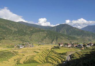 The Punakha Valley