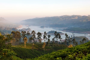 Our thoughts are with the people of Sri Lanka