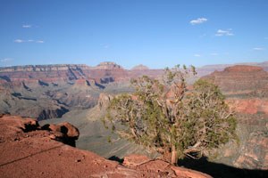 BBC - Operation Grand Canyon