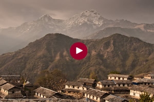 June e-newsletter - As Green Shoots Emerge within Travel