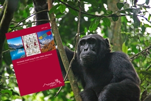 2017 Worldwide Small Group & Tailor Made Adventure - brochure now available