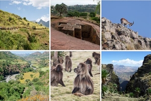 Rough Guides’ Top Ten Destinations for 2014