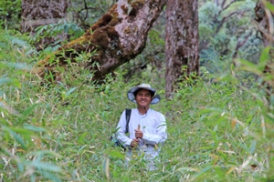 Watch out for Wild Burma: Nature’s Lost Kingdom